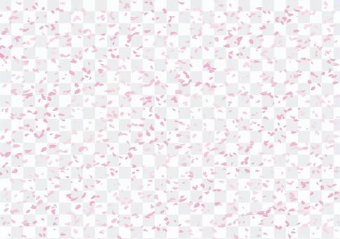 Cherry Blossoms 4a Cherry Blossoms 4a