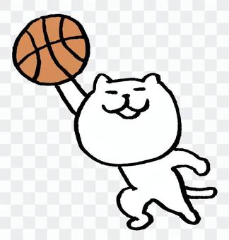 Cat basketball Cat basketball