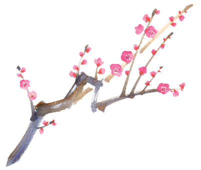 Hand-painted watercolor plum blossom / plum branch vector Hand-painted watercolor plum blossom / plum branch vector