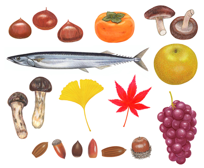Autumn illustration set Autumn illustration set