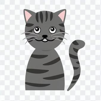 Cat's upper body Cat's upper body