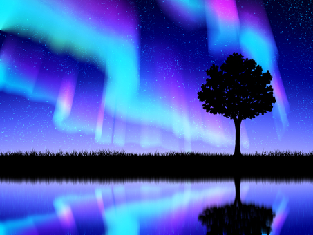 Aurora, trees and meadow silhouette Aurora, trees and meadow silhouette