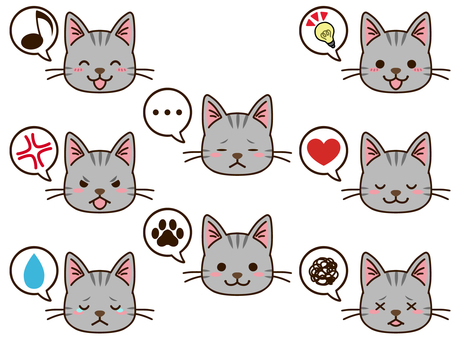 Sabatra cat face icon Sabatra cat face icon