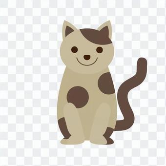 Sitting cat Sitting cat