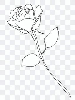 Rose one monochrome Rose one monochrome