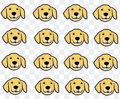 Golden retriever background Golden retriever background