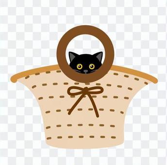 Going cat Going cat