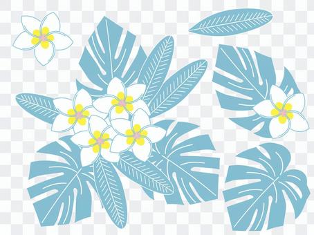 Plumeria and monstera Plumeria and monstera