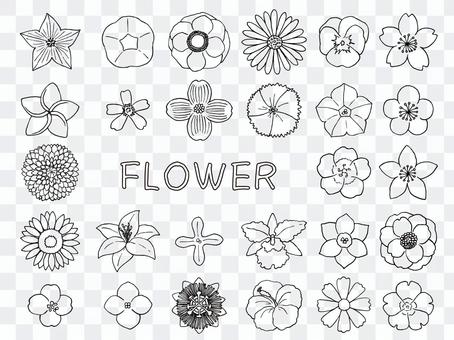 Flower illustration (line drawing) Flower illustration (line drawing)
