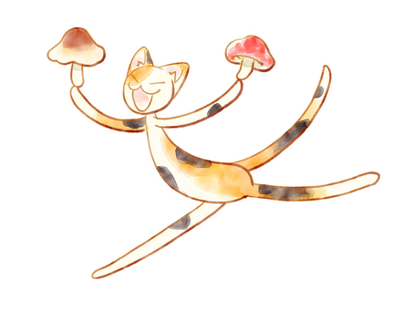Mushroom cat Mushroom cat