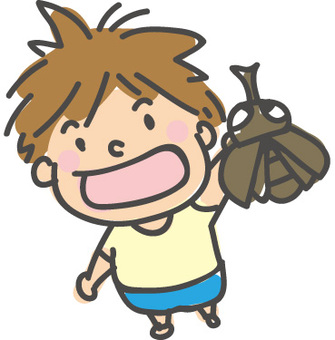 A boy beetle A boy beetle