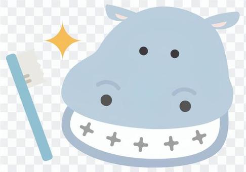 Mr. Hijikaki Hippo Mr. Hijikaki Hippo