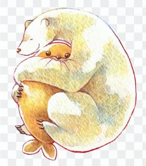 Polar bear and favorite seals Polar bear and favorite seals