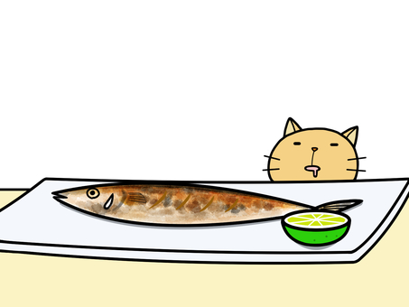 pacific saury and cat pacific saury and cat