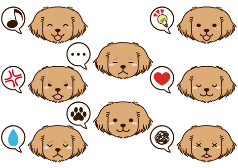 Golden retriever face icon Golden retriever face icon