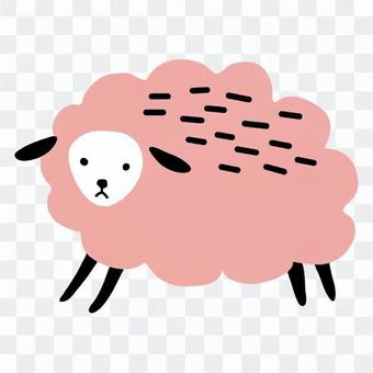 Pink sheep Pink sheep