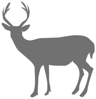 Deer _ Silhouette - 01 Deer _ Silhouette - 01