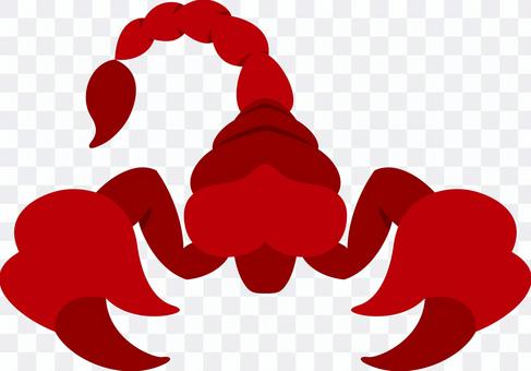Scorpio constellation horoscope scorpion Scorpio constellation horoscope scorpion