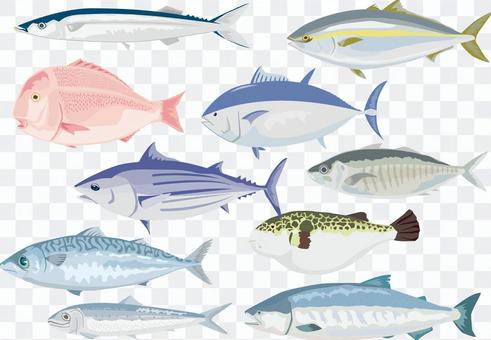 Various sets of fish Various sets of fish