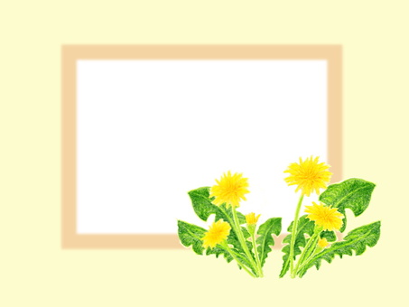 Dandelion card Dandelion card