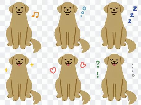Golden Retriever (sitting) Golden Retriever (sitting)