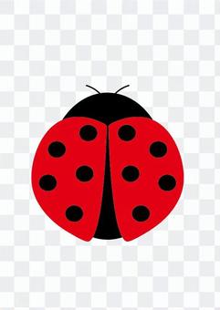 Ladybug (red) Ladybug (red)