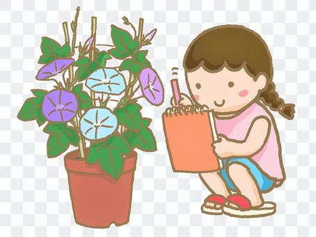 Observation of morning glory Girl 1 Observation of morning glory Girl 1