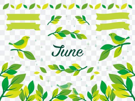 Illustration of June (3) Illustration of June (3)