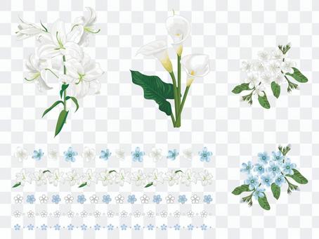 White flower set 01 White flower set 01