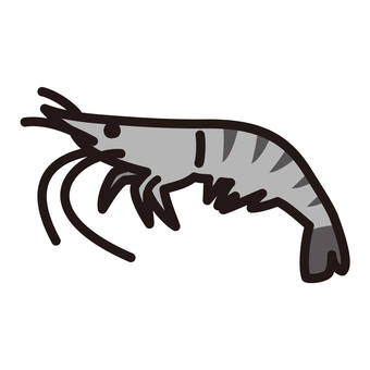 Shrimp black tiger prawn Shrimp black tiger prawn
