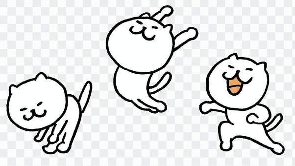 Cats wide jump Cats wide jump