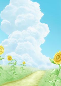 Sunflower summer vacation background Sunflower summer vacation background