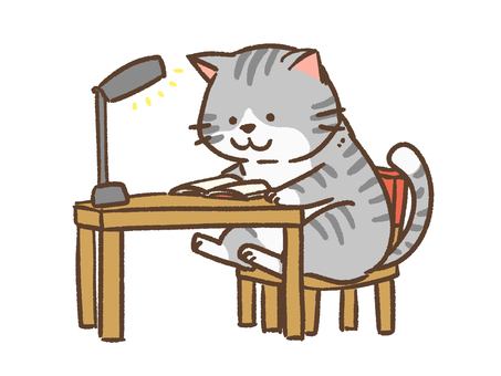Reading cat Reading cat