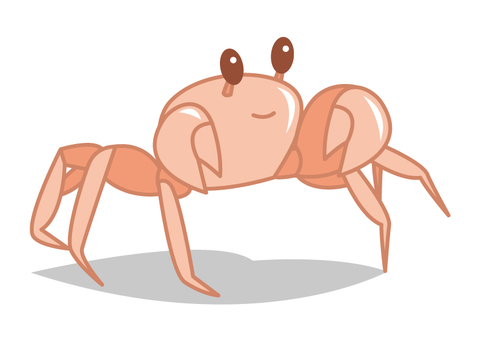 One snail One snail