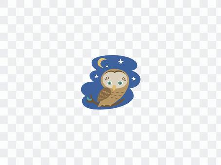 Midnight owl Midnight owl