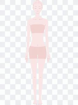 Female front body model pink Female front body model pink