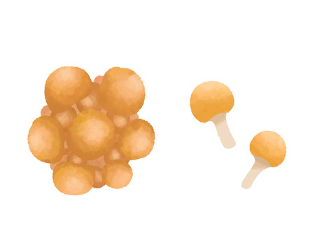Nameko / Mushroom / Sticky / Slimy Take Nameko / Mushroom / Sticky / Slimy Take