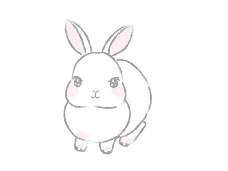 A little Japanese and simple white rabbit A little Japanese and simple white rabbit