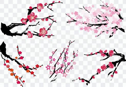 Plum cherry blossom peach blossom watercolor winter spring sumi-e style plant brush writing tree branch Plum cherry blossom peach blossom watercolor winter spring sumi-e style plant brush writing tree branch
