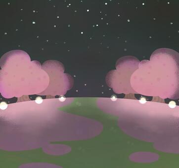 Nohara Spring Night Light up Nohara Spring Night Light up