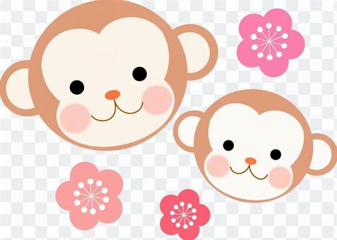 Monkey illustrations Monkey illustrations