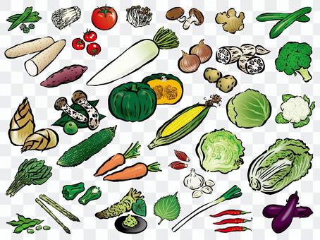 Vegetable set Vegetable set