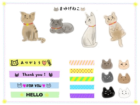 Eyebrow cat Eyebrow cat