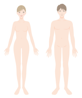 Male and female body naked whole body Male and female body naked whole body