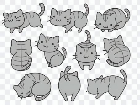 Deformed Sabatra Cat Deformed Sabatra Cat