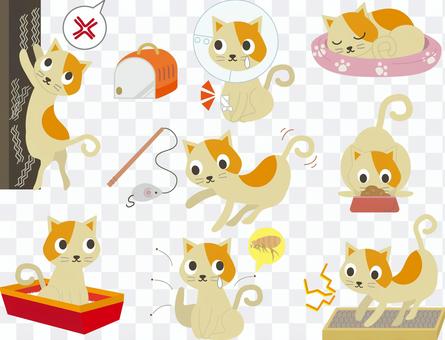 Pet 26 (Cat set 01) Pet 26 (Cat set 01)