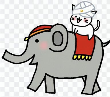 Elephant cat Elephant cat