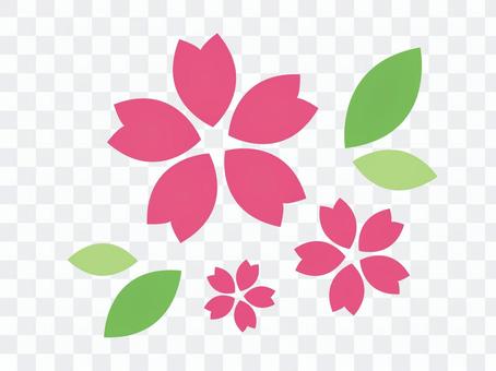 樱花剪影 樱花剪影