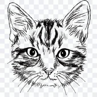 しましま猫の顔/白黒手描きイラスト・絵 しましま猫の顔/白黒手描きイラスト・絵