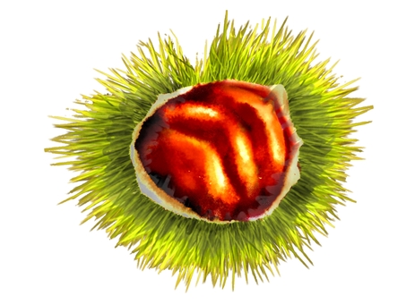 Igaguri (green) Igaguri (green)